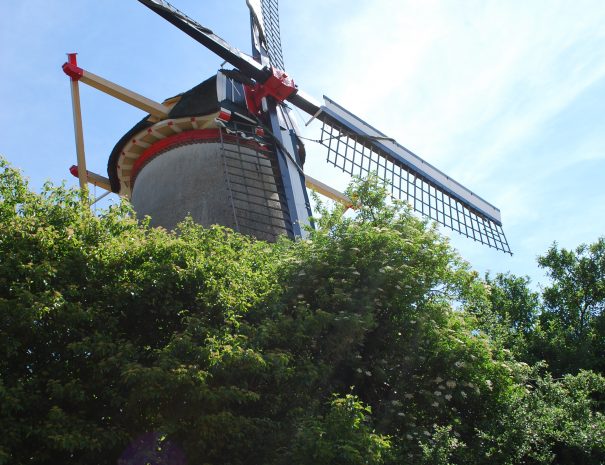 Korenmolen De Binnenmolen