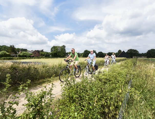 Fietsen Utrechtse Heuvelrug